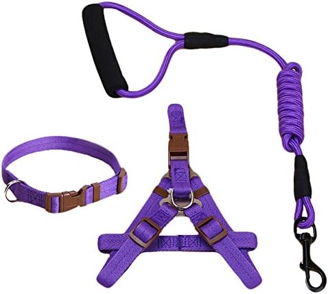 NOVMAY Set of 3 pcs - Heavy Duty Nylon Dog Collar Leash Harness &amp; Traction Rope Leash for Daily Training Walking Running Small and Large Dog (L, Purple)