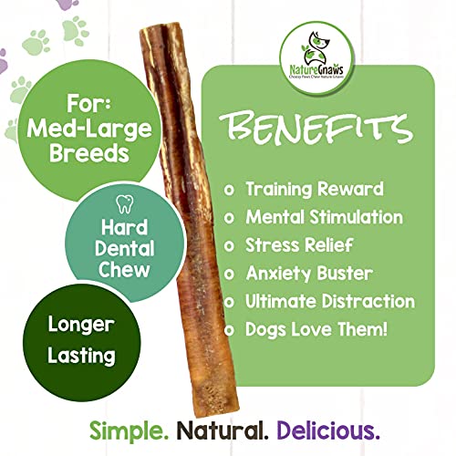 Nature Gnaws Extra Large Bully Sticks for Dogs Premium Natural Beef