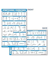Juego de póster de anatomía de sistema muscular y ejercicios de estiramiento QuickFit   Juego de 2 gráficos laminados   Diagrama de anatomía de rutina y músculo de entrenamiento elástico (18.0 in x 27.1 in)