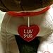 Hallmark Luv Pug Plush Stuffed Animal with Sound, Valentine's Day