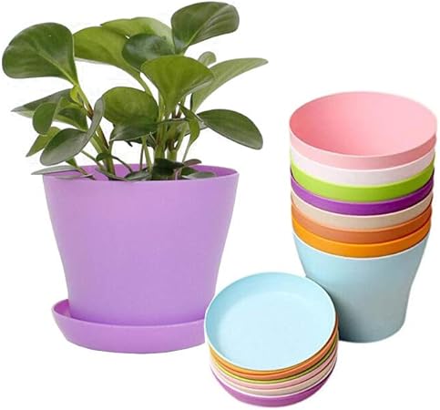 Amazon Com Willow Dragon 8 Pcs 5 5 Plastic Plants Flower
