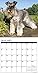 Just Miniature Schnauzers 2017 Wall Calendar (Dog Breed Calendars)