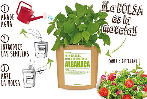 Garden Pocket - Kit de Cultivo de STEVIA - Bolsa Maceta: Amazon.es ...