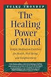 The Healing Power of Mind: Simple Meditation Exercises for Health, Well-Being, and Enlightenment (Buddhayana Series, VII)