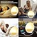 Wake Up Light Alarm Clock, Burbupps Kids Night Light Compatible with Alexa & Google Home, 7 Colored Sunrise Simulation and Sunset Fading, Dual Alarm Clock with FM Radio, USB Charge Port (Style-2)