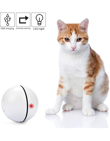 Jouets Pour Chats Amazonfr