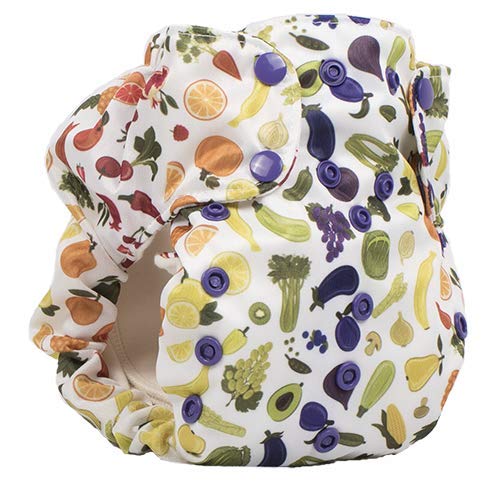 smart bottoms cloth diapers