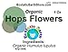 Organic Hops Flowers Dried ~ 1 Ounce ~ Humulus lupulus