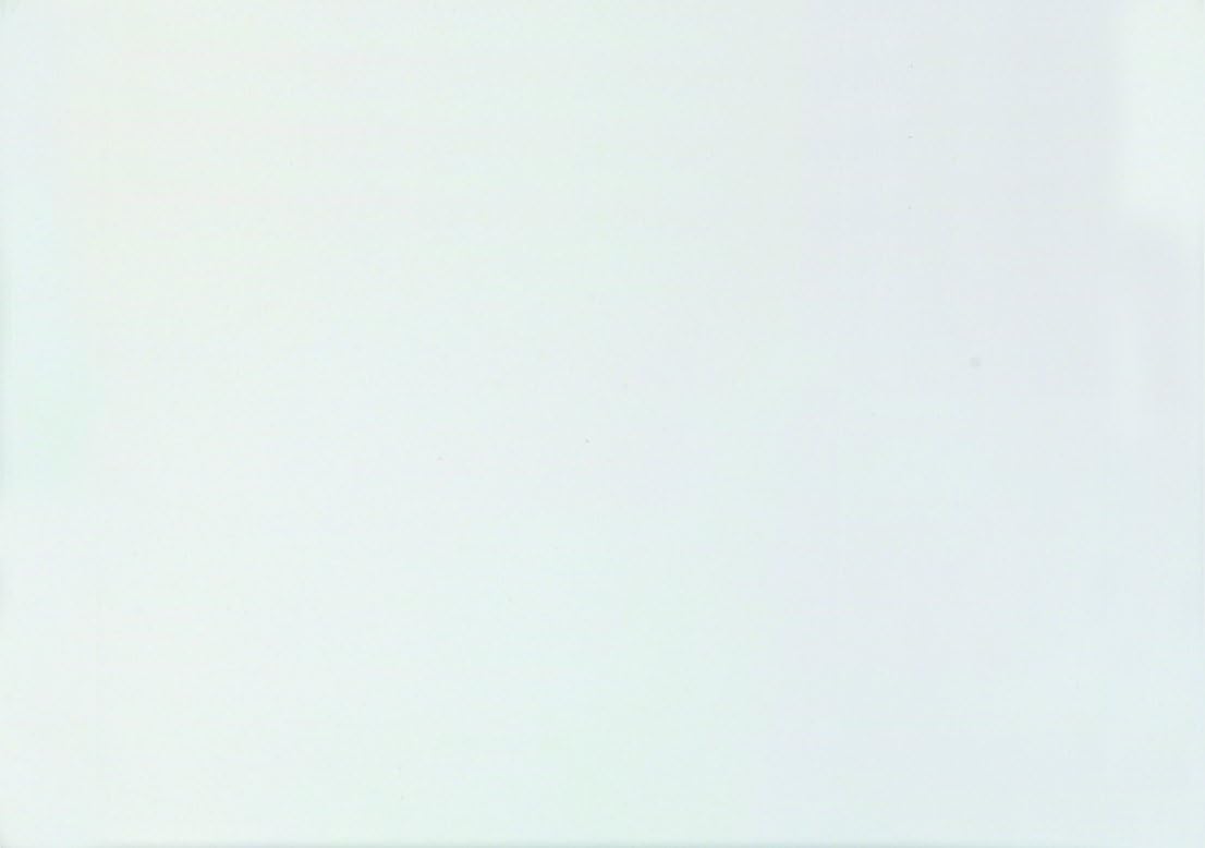 Columbian CO330 6x9-Inch Booklet Grip-Seal White Envelopes, 250 Count : Office Products
