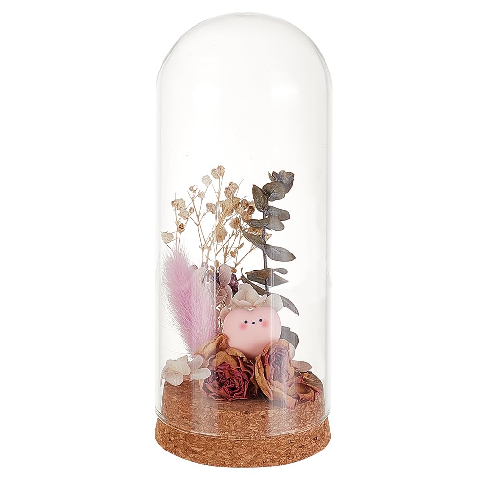 GOMAKERER 1 Pc Glass Display Dome Cloche, 2.56x6.02 Inch Cloche Bell Jar Terrarium with Cork Base Decorative Display Dome Case for Plants Flower Christmas Display Decoration, Clear