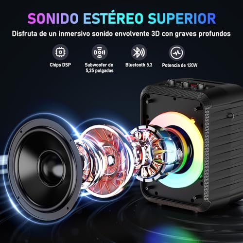HWWR Karaoke Machine, Karaoke Device with 2 Microphones, Portable Bluetooth Karaoke Device with DJ Lights, PA System, Ideal for Family Gatherings and as a Gift for Adults and Kids