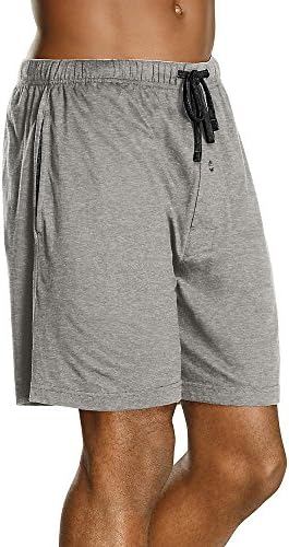 Hanes Men's Logo Knit Shorts 2-Pack 