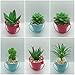 UNQUER 18 Pack Artificial Succulent Flocking Plants - Unpotted Faux Flocked Succulent Assortment Create Realistic Succulent Arrangements Fake Potted Succulent Décor Different Size Lotus Garden DYI