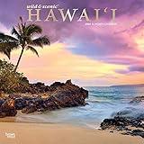 Hawaii 2020 12 x 12 Inch Monthly Square Wall Calendar with Foil Stamped Cover, USA United States of by 