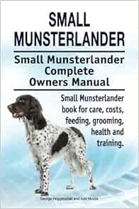 munsterlander price