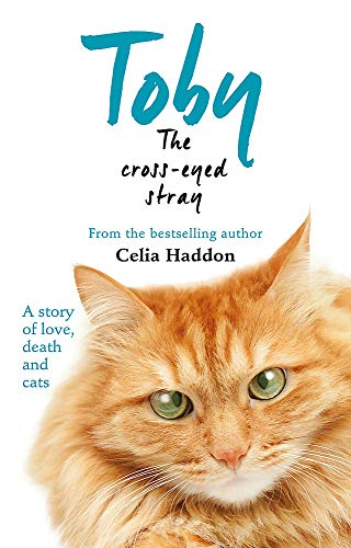 Toby The Cross-Eyed Stray by NA (Paperback)