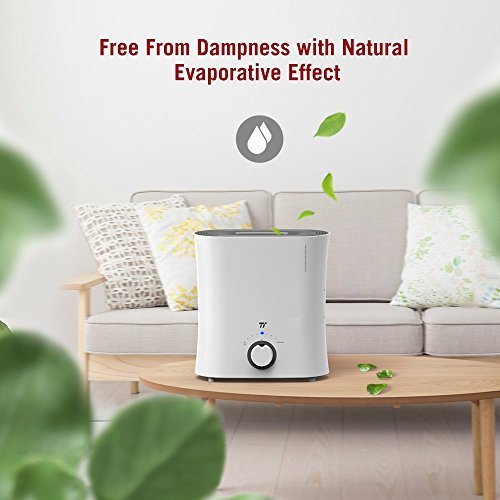 TaoTronics Evaporative Humidifier for Guitar Room, Top Fill Humidifiers