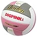Baden Perfection Premium Leather Indoor Official Game Volleyball 13U to College Official Size + Weight NFHS + AVCA Approved