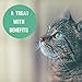 Buddy & Lola Cranberry UT Support for Cats with Kidney & Bladder Support Boosts Cat Immune and Digestive Health with Cranberry & D-Mannose. 60 Chews, 3.17oz.