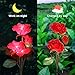 Anordsem Rose Lights Solar Powered for Women: Garden Light Waterproof for Yard Decorations Outdoor - Flower Lamp Colorful Lighting Cemetery Decor - Valentine's Mother's Day Gifts for Mom Wife