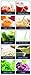 Omega J8004 juicer, White