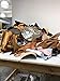 Full Grain Leather Scraps and Trimmings: 1.5 - 2lbs of scrap include fashion colors, metallics, prints, embossed leathers (USPS Padded Pouch)