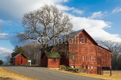 Old Red Barns And Tree On Country Road 65231606 Canvas 50 X