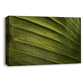 Canvas Wall Art Leaf Veins Pictures Home Wall Decorations for Bedroom Living Room Paintings Canvas Prints Framed - 12x18 inches