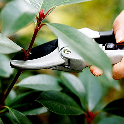 CoZroom Professional Bypass Pruning Shears, Hand Pruners, Garden Clipper – Ideal for Trees, Flowers, Stems, Shrubs and Branches - Thumbnail 5