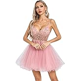 Teens Short V Neck Butterfly Applique Prom Dresses Tulle Homecoming Party Dress