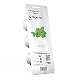 Click and Grow Smart Garden Oregano Plant