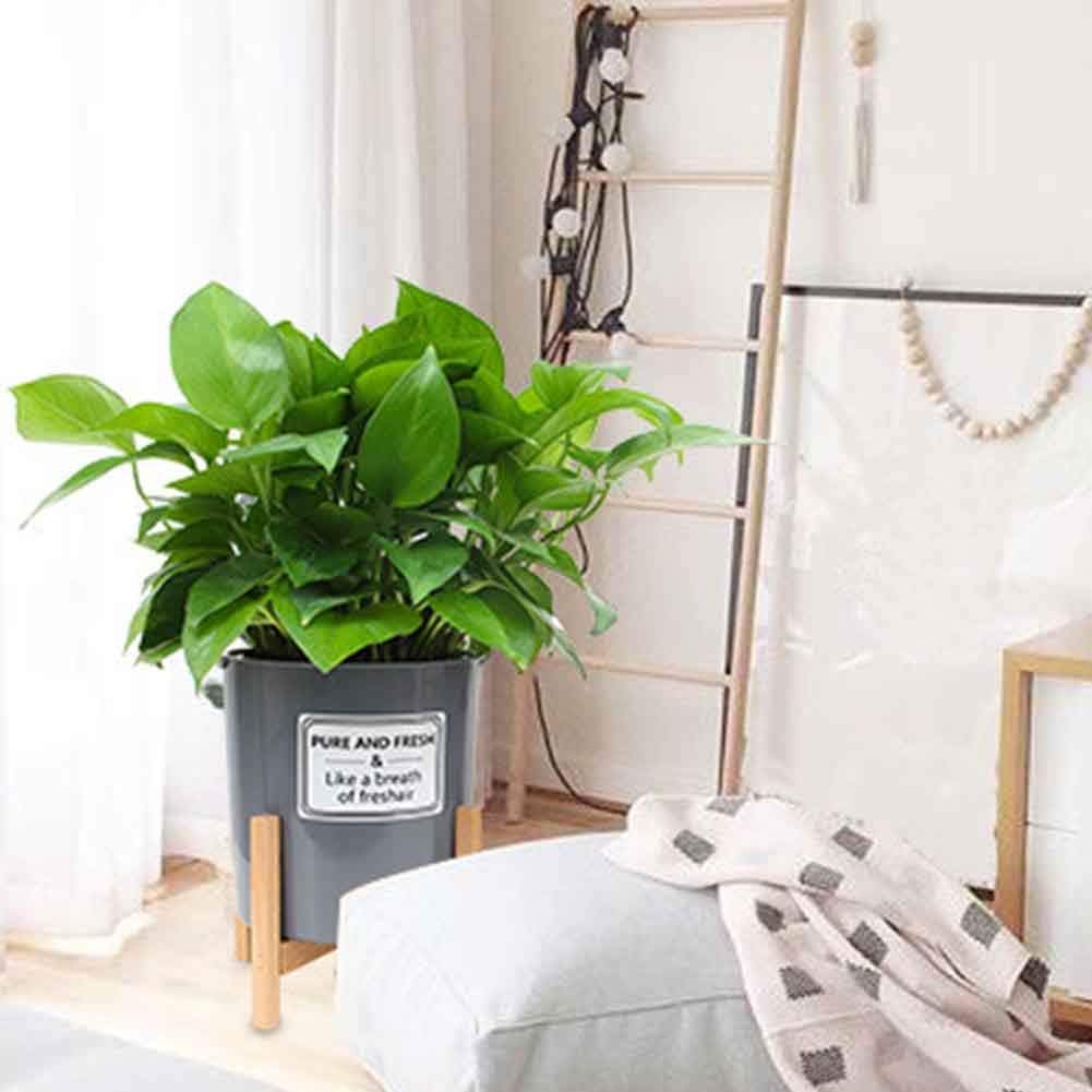 beiyoule Plant Stand - Image 3
