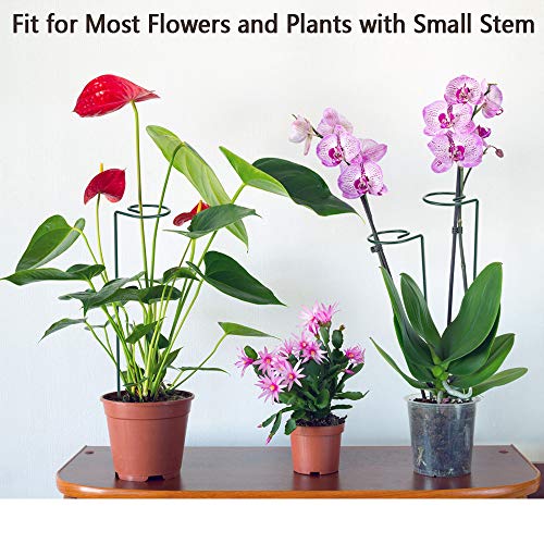 Yotako 3 Pack Metal Plant Support Stakes, 3 Pcs DIY Single Stem Plant Sticks, Plant Cage Support Rings, Garden Tomato Cage with 30 pcs Plant Clips for Plant Flower Growing - Thumbnail 6