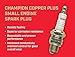 Champion Copper Plus Small Engine 821 (L77JC4) Pack of 1 (UPC 037551000678)