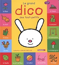 Le  grand dico des tout-petits