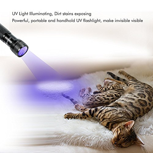OxyLED 12 Ultraviolet LED UV Light, Pet Urine Stain Detector Blacklight