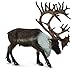 Collecta Des Bois Col88709 Toy Caribou XL