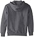 Carhartt Men's Rain Defender Paxton Heavy Weight Hooded Zip Mock Sweatshirt