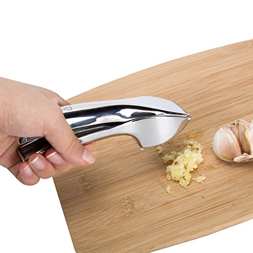 304 stainless steel Garlic Press hand held Best Crushing And Mincing