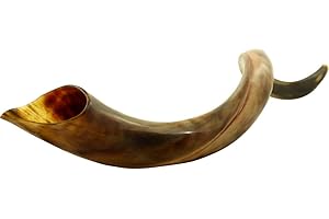 Polished Kudu Horn Shofar - Yemenite Kudu Shofar - Kosher Kudu Shofar Made in Israel (16"-20")