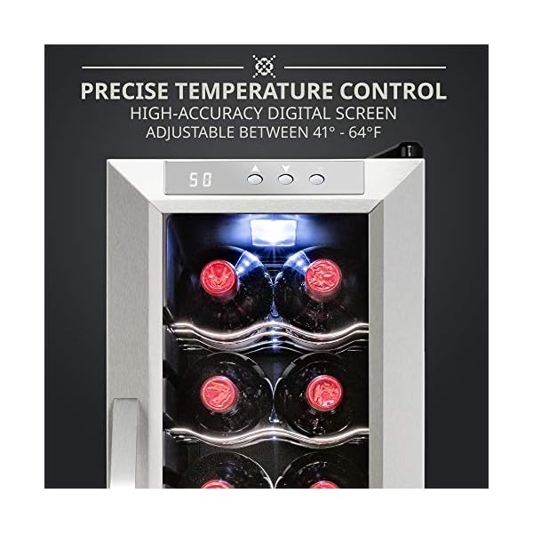 Ivation-12-Bottle-Compressor-Wine-Cooler-Refrigerator-wLock-Large-Freestanding-Wine-Cellar-For-Red-White-Champagne-or-Sparkling-Wine-41f-64f-Digital-Temperature-Control-Fridge-Stainless-Steel