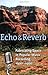 Echo and Reverb: Fabricating Space in Popular Music Recording, 1900-1960 (Music / Culture) by 