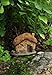 Top Collection Enchanted Story Fairy Garden Fairy House Outdoor Statue
