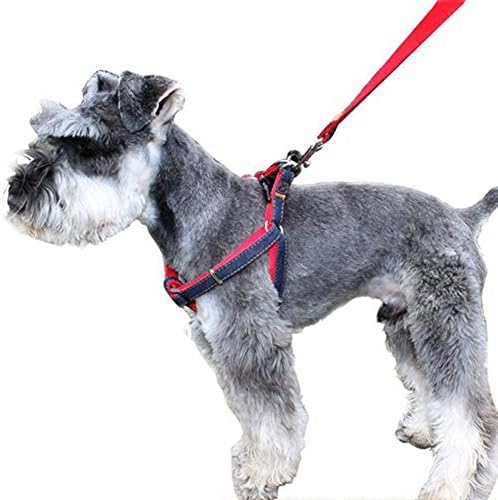 CUGLB No-Pull Dog Leash Harness Adjustable and Heavy Duty Denim Dog Training Walking Leash Collar for Large/Medium/Small Dog ¡­