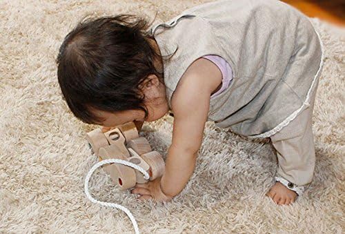 赤ちゃんのおもちゃ箱セット Bタイプ 木のおもちゃ 3ヶ月 4ヶ月 5ヶ月 6ヶ月 1歳 2歳 出産祝いにお薦め 木育 B002pb66ly 8 278円 セール開催中最短即日発送 新作 人気 送料無料 激安 お買い得 キ フト
