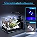 DaToo 5 Gallon Aquarium Betta Fish Tank with Low Iron Glass LED Light and Filter Systemthumb 3