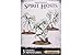 GAMES WORKSHOP 99120207030 Nighthaunt Spirit Hosts Tabletop and Miniature Gaming, Black,Medium