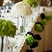 Fascola 12 pcs White Blue Tissue Hanging Paper Pom-poms, Hmxpls Flower Ball Wedding Party Outdoor Decoration Premium Tissue Paper Pom Pom Flowers Craft Kit