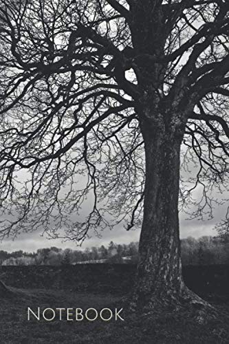 Notebook: Black & White Landscape Photography Journal - Tree of Life SketchBook - Gratitude & Travel Diary - Unlined & Lined 120 Pages (6''x 9'')