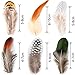 TommoT 180 Pcs 6 Style Chicken Feathers Assorted Mixed for Party Dress-ups and Dream Catcher Crafts